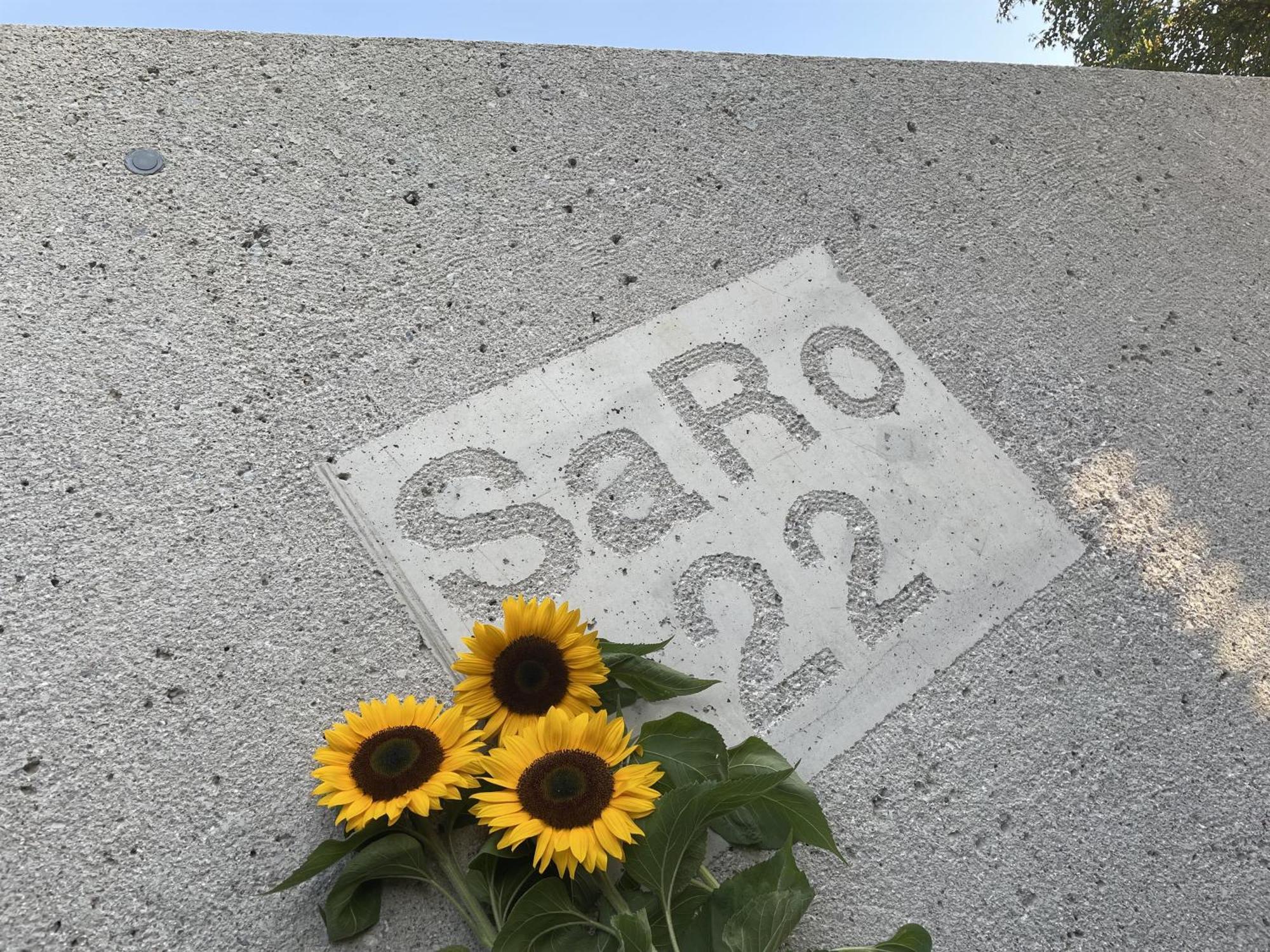 Haus Saro Apartment Hopfgarten im Brixental Ngoại thất bức ảnh